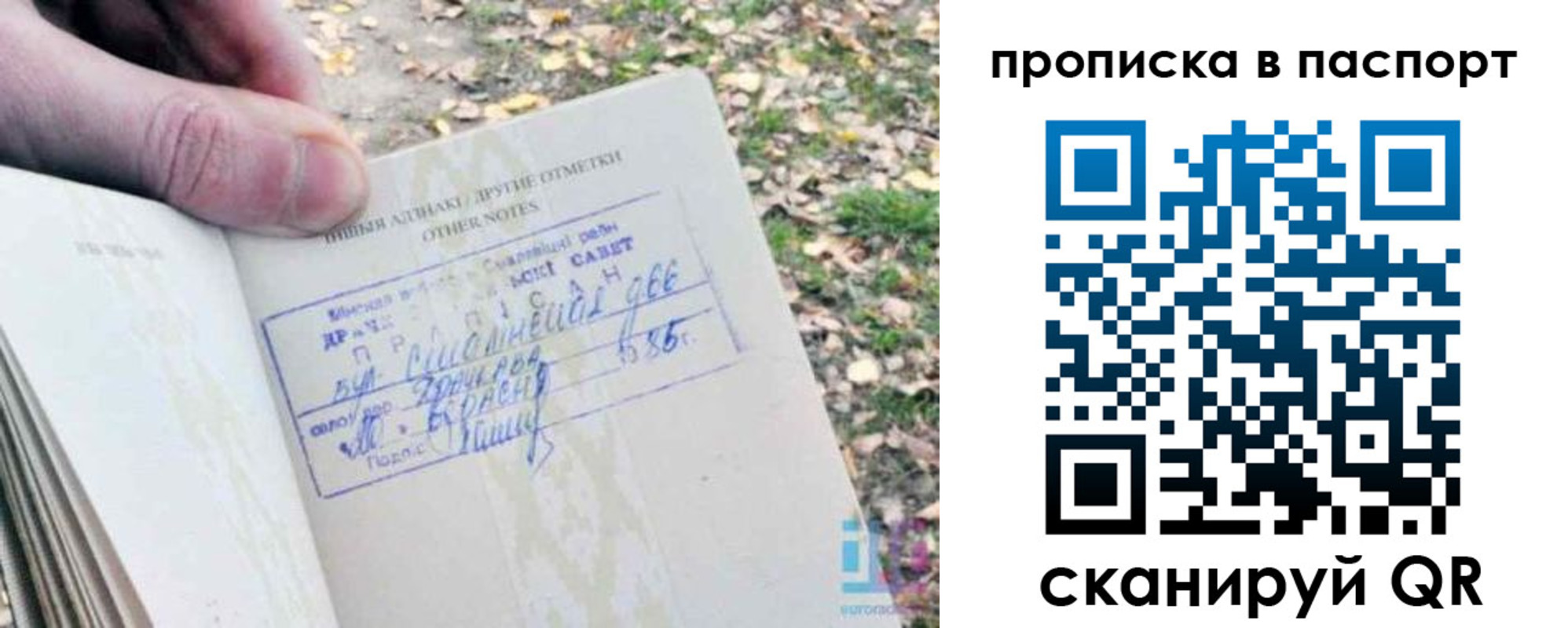 купить прописку в Кимовске